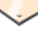 Rear Icons Acrylic print