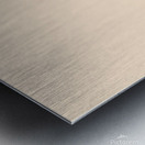 Rear Icons Metal print