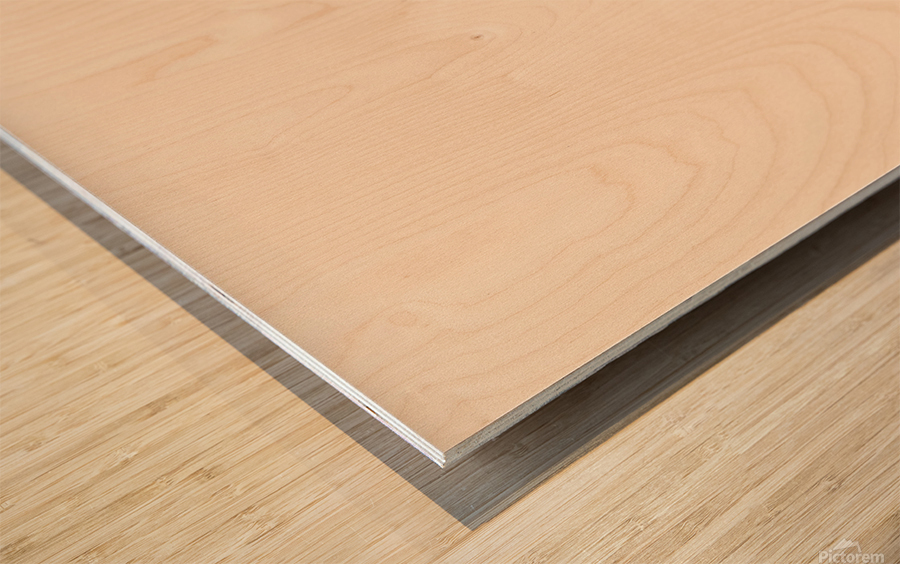 Rear Icons Wood print